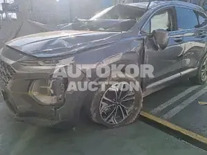 2019, Hyundai / Santa FE, VIN: KMHS381ABLU247383, gas