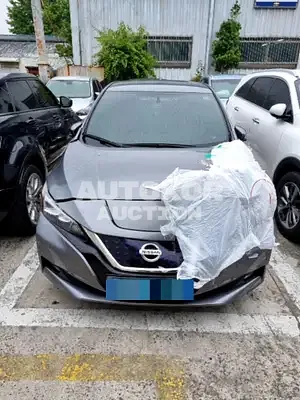 2019, Nissan / Leaf, VIN: 1N4AZ1CP7KC306645, 50000 км., electric