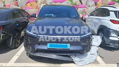 2025, Tesla / Model Y, VIN: LRWYGCEK2SC216537, electric, 1 куб.см.