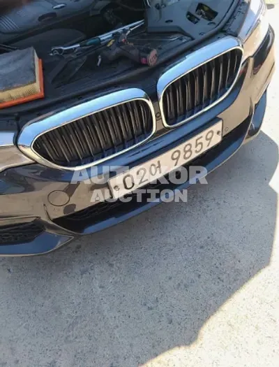 2017, BMW / 520, VIN: WBAJC5102HG850798, gas