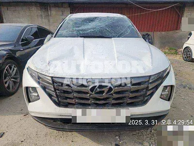 2022, Hyundai / Tucson, 171173 км., diesel, 2000 куб.см.