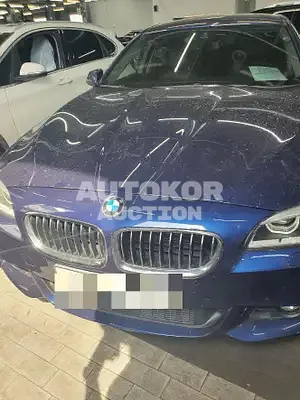 2016, BMW / 528, VIN: WBA5A5106GG181523, 65000 км., gas, 1997 куб.см.