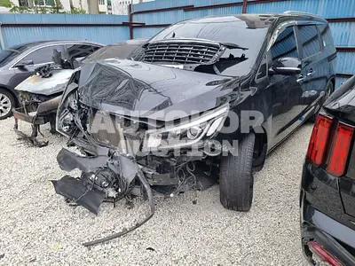 2019, Kia / Carnival, VIN: KNAMB81ABKS497878, 96181 км., diesel
