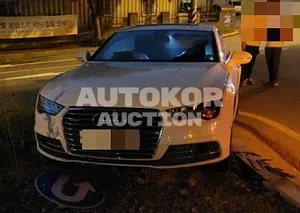 2016, Audi / 50, VIN: WAUZZZ4G7GN113284, 107200 км., diesel