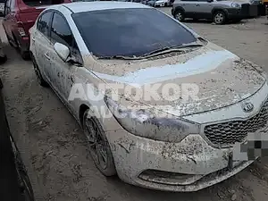 2015, BMW / Z1, 100000 км., gas, 1591 куб.см.
