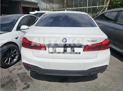 2017, BMW / 530, 48022 км., gas, 1998 куб.см.