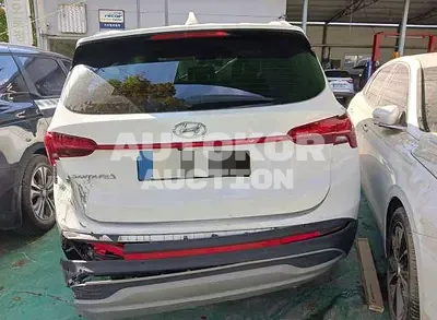2021, Hyundai / Santa FE, VIN: KMHS281HGMU403793, 110113 км., diesel