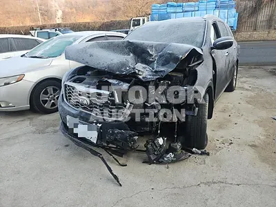 2019, Kia / Sorento, 81691 км., gas, 1998 куб.см.