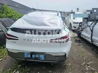 2021, Genesis / gv60, 52231 км., electric