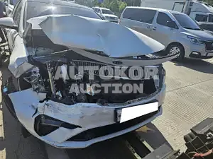 2019, Kia / K5, VIN: KNAGT411BKA326405, gas