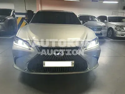 2021, Lexus / ES 300, VIN: JTHBA1C19M2005366, 12011 км., hybrid