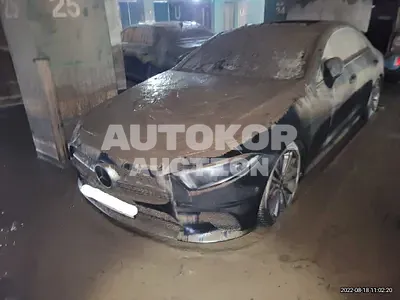 2019, Mercedes-Benz / CLS 400, VIN: WDD2J2DBXKA005903, diesel