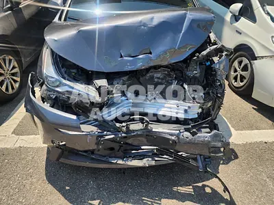 2019, Toyota / Prius, VIN: JTDKARFU9K3093686, 37990 км., hybrid, 1798 куб.см.