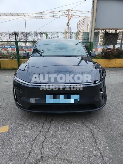 2025, Tesla / Model Y, VIN: LRWYGCFJ3SC313736, 2268 км., electric