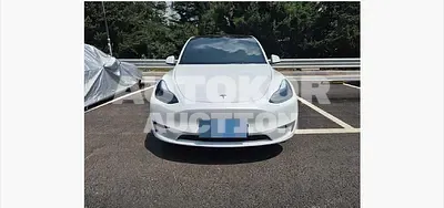 2025, Tesla / Model Y, electric, 173 куб.см.