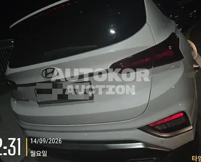 2019, Hyundai / Santa FE, 96291 км., diesel, 1995 куб.см.