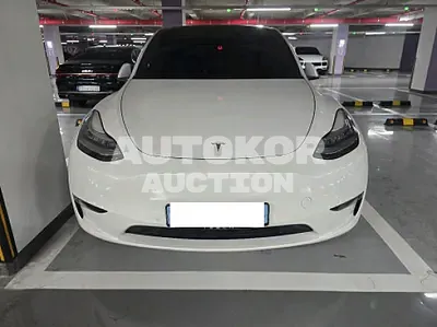 2021, Tesla / Model Y, 80130 км., electric