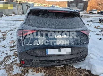 2024, Kia / Sportage, hybrid, 1598 куб.см.