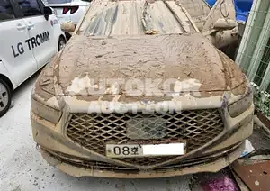 2019, Genesis / G90, VIN: KMHG141DBKU062223, gas