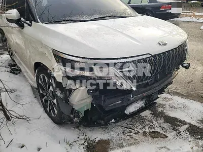 2020, Kia / Carnival, VIN: KNANC81BBMS047213, diesel