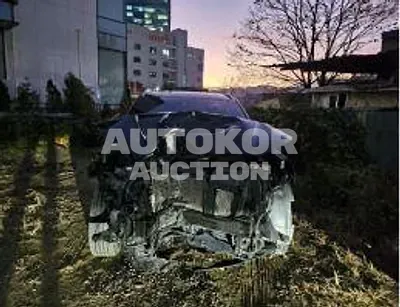2021, Hyundai / Palisade, VIN: KMHR381ABNU370671, 36875 км., diesel