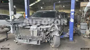 2019, Hyundai / Santa FE, VIN: KMHS281BBLU216193, diesel