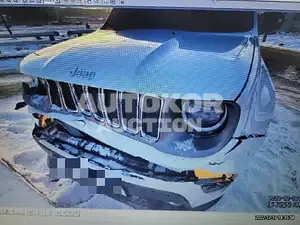2020, Jeep / Renegade, VIN: 1C4BU0000LPL73622, 34502 км., gas
