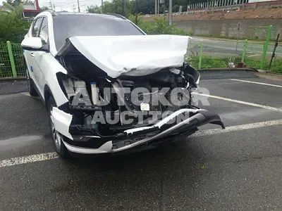 2016, Hyundai / Santa FE, VIN: KMHSW81UDGU666422, diesel