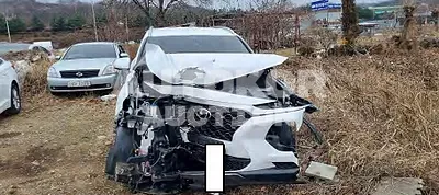 2019, Hyundai / Santa FE, VIN: KMHS381BBKU051777, diesel