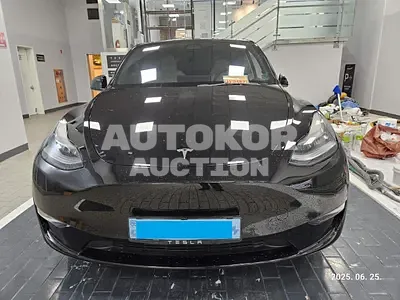 2021, Tesla / Model Y, VIN: 5YJYGDEE8MF167496, 30778 км., electric