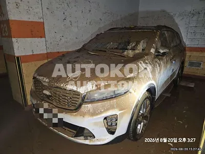 2019, Kia / Sorento, 60000 км., diesel, 2200 куб.см.