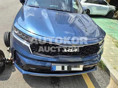 2023, Kia / Sorento, 30000 км., gas, 2497 куб.см.