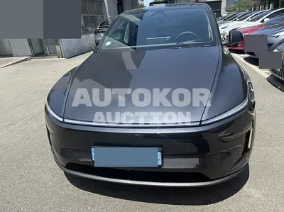 2025, Tesla / Model Y, electric
