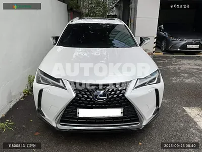 2021, Lexus / UX 250, VIN: JTHP6JBH1M2087681, 39206 км., hybrid