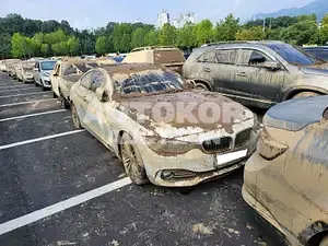2015, BMW / 420, VIN: WBA3P1105FK264273, diesel