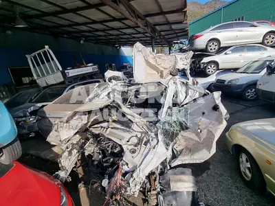 2020, Hyundai / Palisade, VIN: KMHR381ADMU161420, 58021 км., diesel