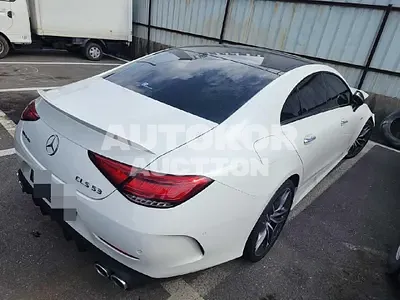 2021, Mercedes-Benz / cls, VIN: W1K2J6BB8MA094156, 10000 км., hybrid, 2999 куб.см.