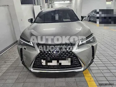 2019, Lexus / UX 250, 51262 км., hybrid