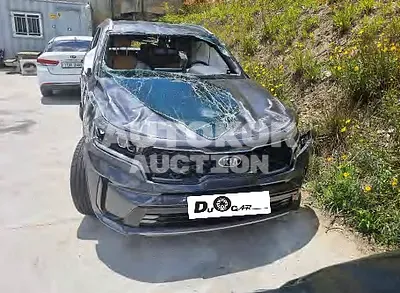 2021, Kia / Sorento, VIN: KNARJ81BHMA009218, diesel