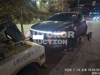 2025, Tesla / Model Y, VIN: LRWYGCEK65C216085, 9890 км., electric