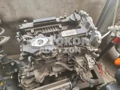 2021, Chrysler / Neon, VIN: KMTG141ABMU081601, gas