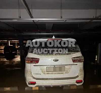 2020, Kia / Carnival, 71473 км., diesel 2020, Kia / Carnival, 71473 км., diesel