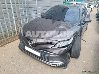 2019, Toyota / Camry, VIN: JTNB11HK4K3096777, 43139 км., gas