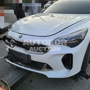 2021, Kia / Stinger, VIN: KNAE351DDMS099818, gas, 2500 куб.см.