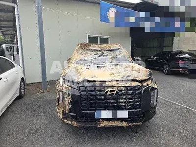 2024, Hyundai / Palisade, 62548 км., gas, 3800 куб.см.