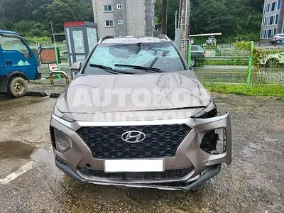 2019, Hyundai / Santa FE, VIN: KMHS281BBKU000661, 56873 км., diesel