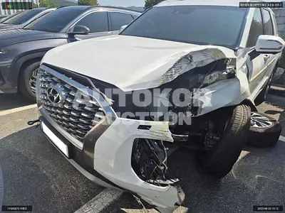 2021, Hyundai / Palisade, VIN: KMHR381ABNU363962, 95572 км., diesel, 2199 куб.см.
