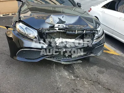 2019, Mercedes-Benz / E 300, VIN: WDDZF4KB7KA677688, gas