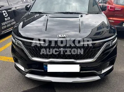 2021, Kia / Carnival, VIN: KNANE813BMS102162, 35074 км., gas