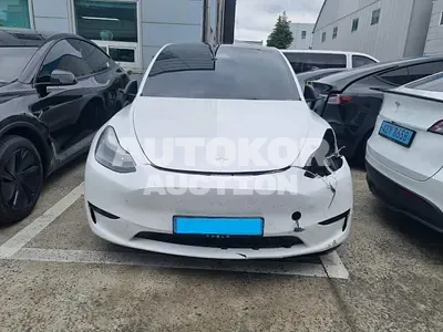 2024, Tesla / Model Y, VIN: LRWYGCFS7RC561961, electric, 1 куб.см.